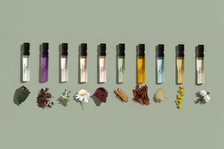 Australian Botanicals in Discovery Kits