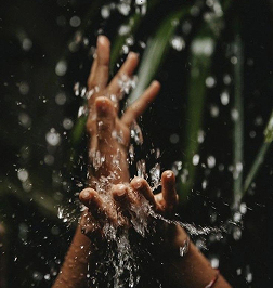 Hands splashing fresh water in a lush tropical rainforest, evoking natural freshness and aquatic fragrance inspiration.