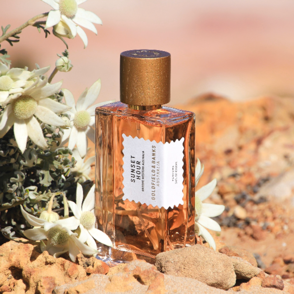 Elegant perfume bottle set among native white flowers and sunlit desert rocks