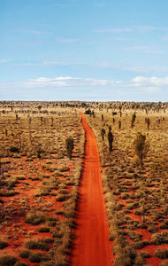 Comment les paysages australiens inspirent les plantes indigènes