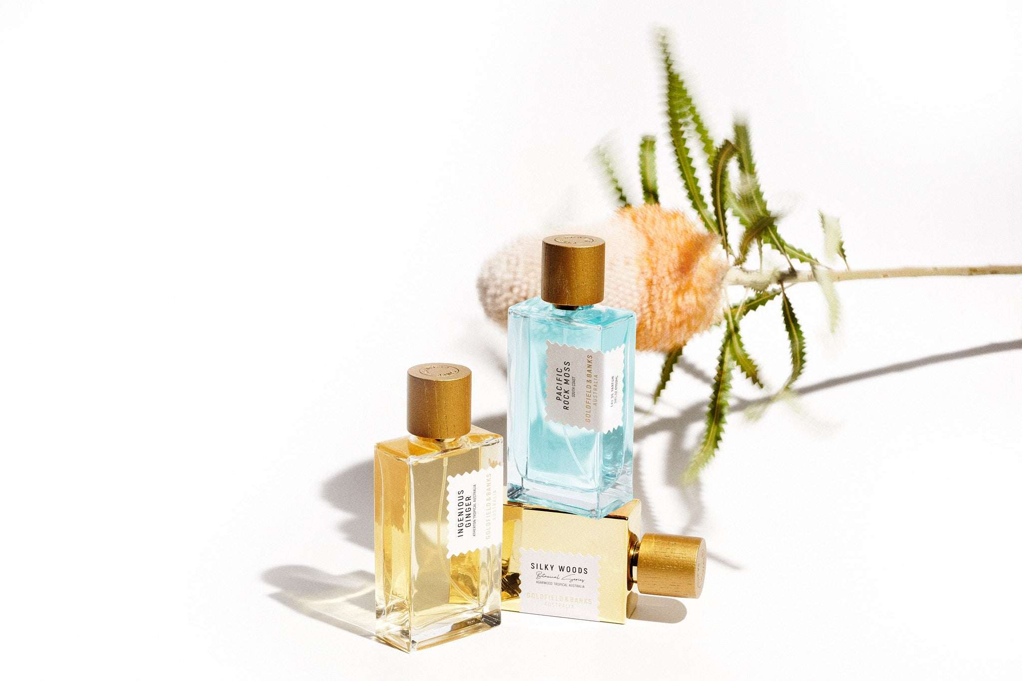 100ml and 50ml Collection