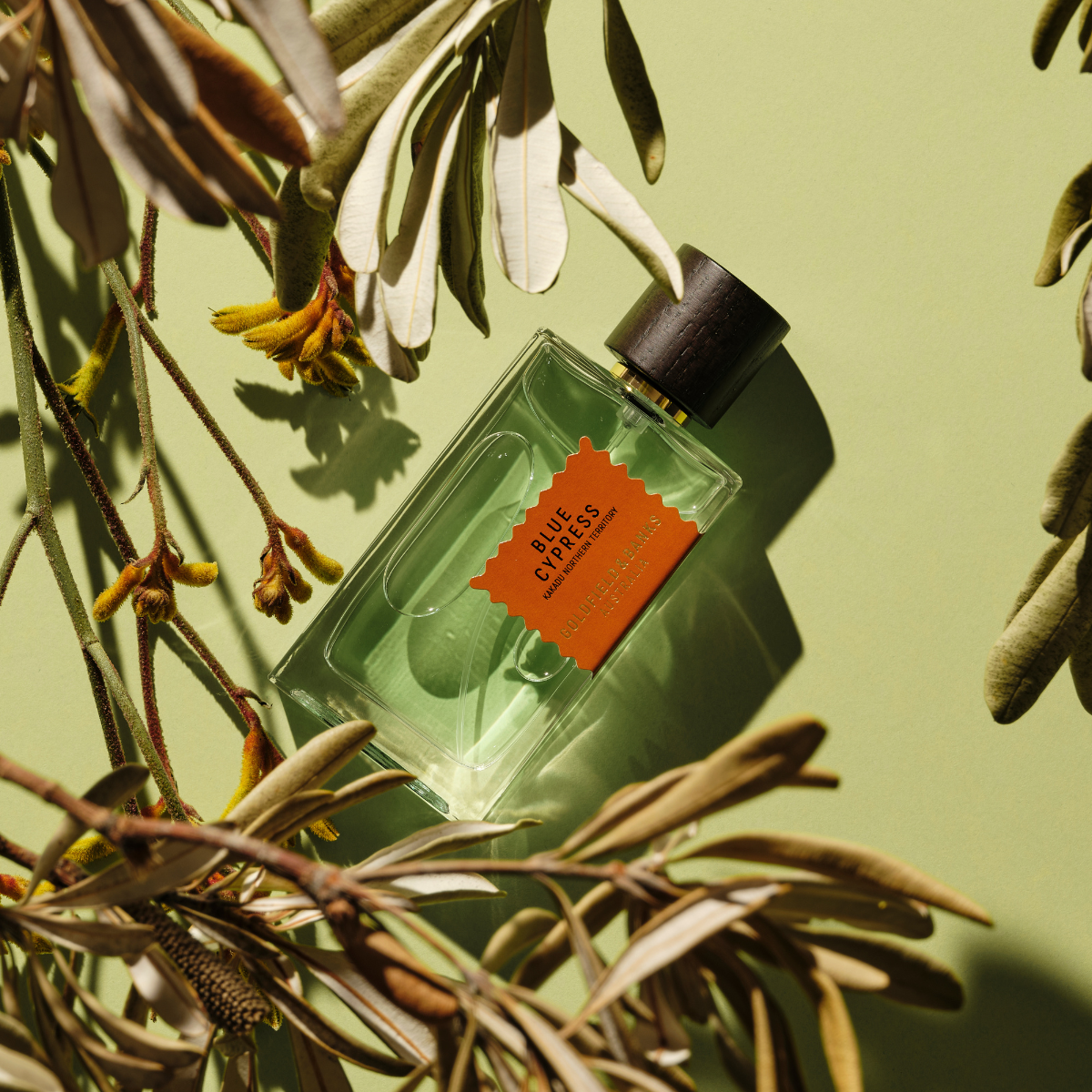 Blue Cypress 100ml - Goldfield & Banks Australia - Eau de Parfum