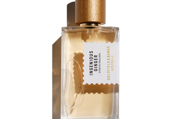 Ingenious Ginger perfume bottle with wooden cap and clear glass design