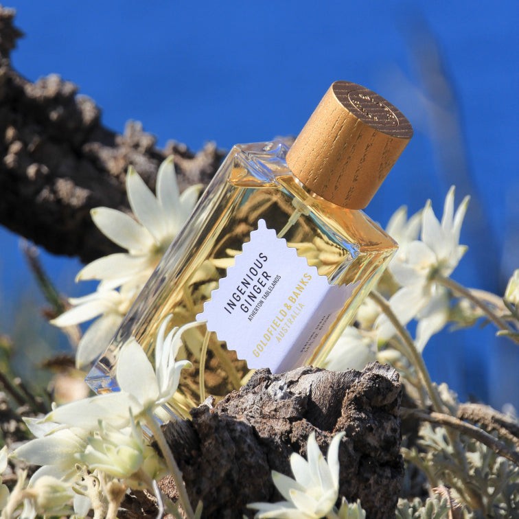 INGENIOUS GINGER 50ml GOLDFIELD&BANKS香水 Ingenious Ginger Eau de Parfum | Floral Amber Fragrance