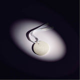 Ornement rond en céramique parfumé « Mystic Bliss », orné d'un ruban blanc sur fond foncé