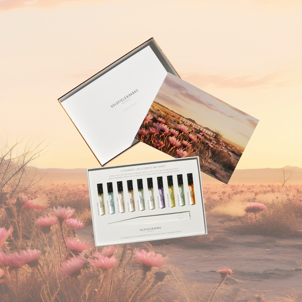 NOUVEAU | Discovery Sample Collection (10 x 2ml)